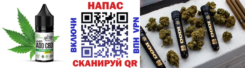 hydra ссылки  хочу наркоту  Питкяранта  Печенье с ТГК конопля 