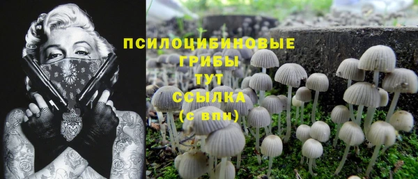 бутират Аркадак