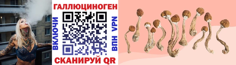 Псилоцибиновые грибы Magic Shrooms  Питкяранта 
